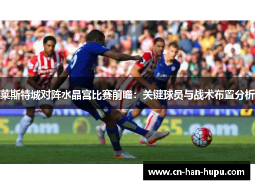 莱斯特城对阵水晶宫比赛前瞻：关键球员与战术布置分析