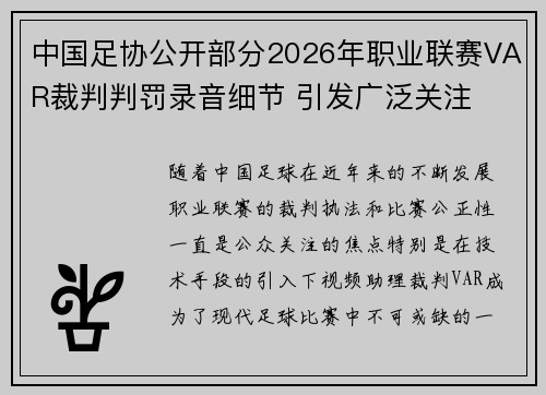 中国足协公开部分2026年职业联赛VAR裁判判罚录音细节 引发广泛关注 中国足协公开部分2026年职业联赛VAR裁判判罚录音细节 引发广泛关注
