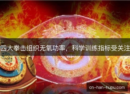 四大拳击组织无氧功率,科学训练指标受关注 四大拳击组织无氧功率,科学训练指标受关注